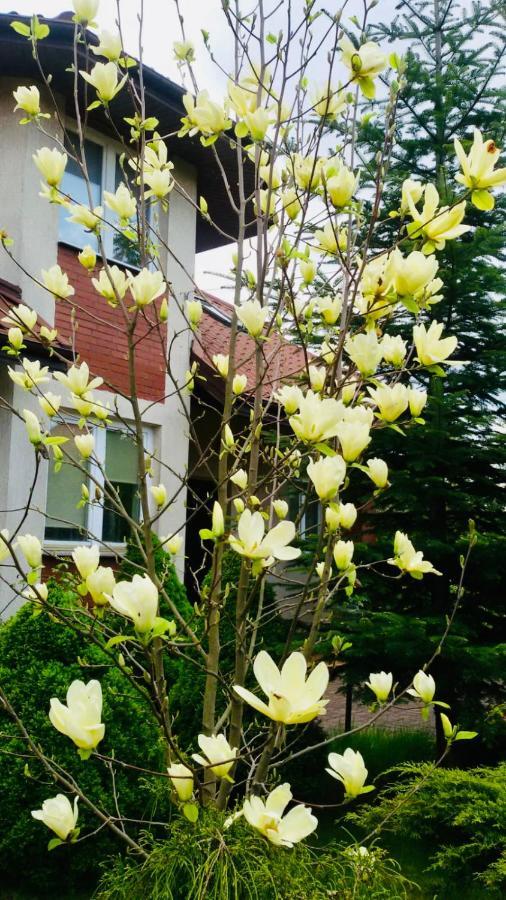 Domowe Zalesie Daire Piaseczno  Dış mekan fotoğraf