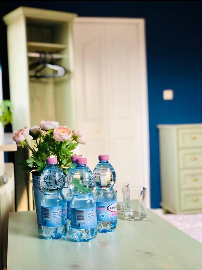Domowe Zalesie Daire Piaseczno  Dış mekan fotoğraf